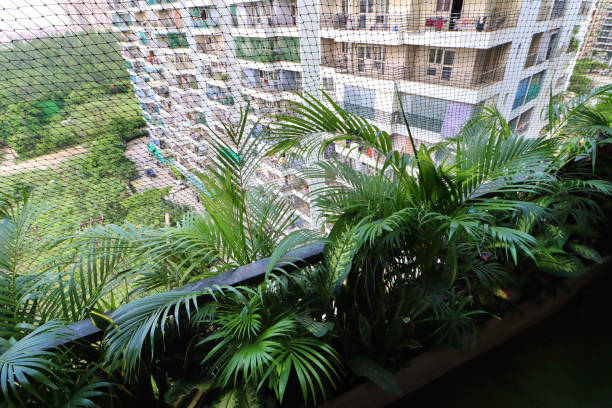 Stock photo of apartment balcony in Ghaziabad, India decorated with exotic house plants in wooden troughs. Gardening and exterior low maintenance design concept.